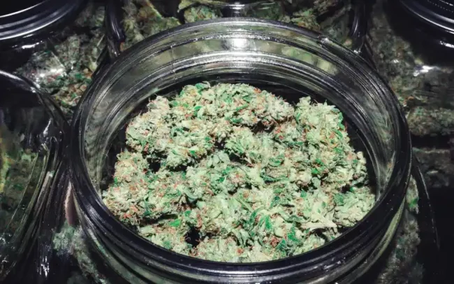 second dispensaire légal à NY