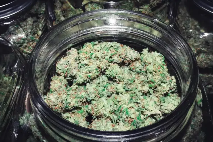 second dispensaire légal à NY