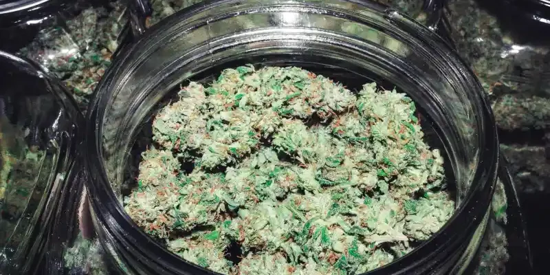 second dispensaire légal à NY