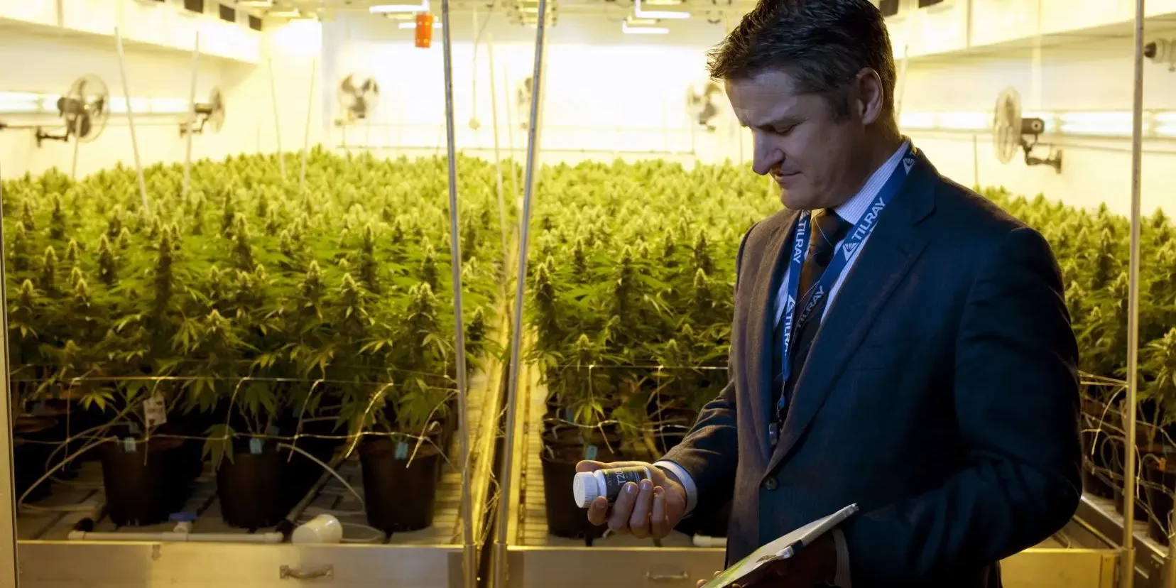 légalisation du cannabis