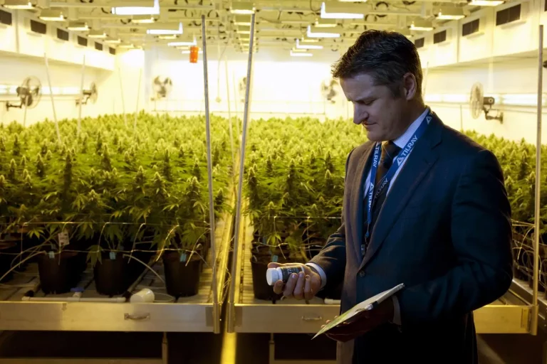 légalisation du cannabis