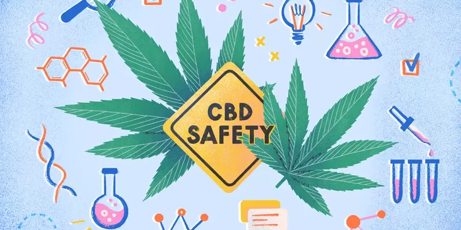 Un essai clinique explore l’influence du CBD sur la sécurité du cannabis CBD et THC