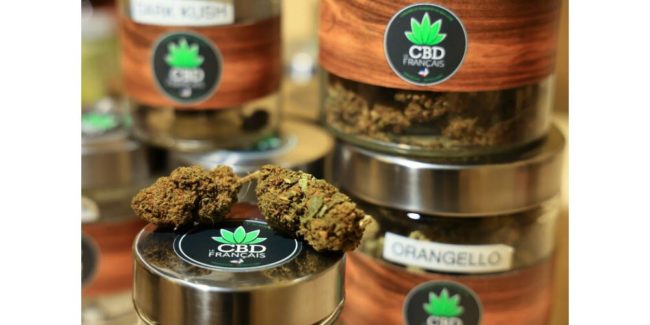 Vente de fleurs autorisé