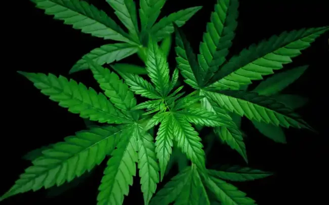 arrestation d'un fonctionnaire en Albanie