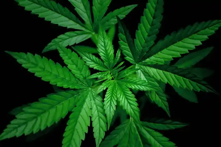 arrestation d'un fonctionnaire en Albanie