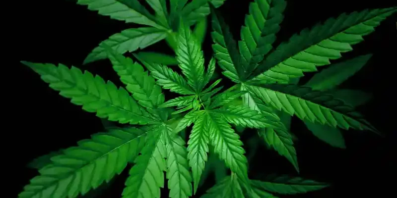 arrestation d'un fonctionnaire en Albanie