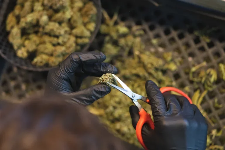 Une famille sans histoire avait fondé un empire du cannabis au Pays de Galles