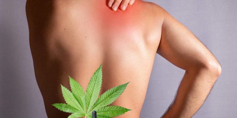 cannabis-douleur chronique