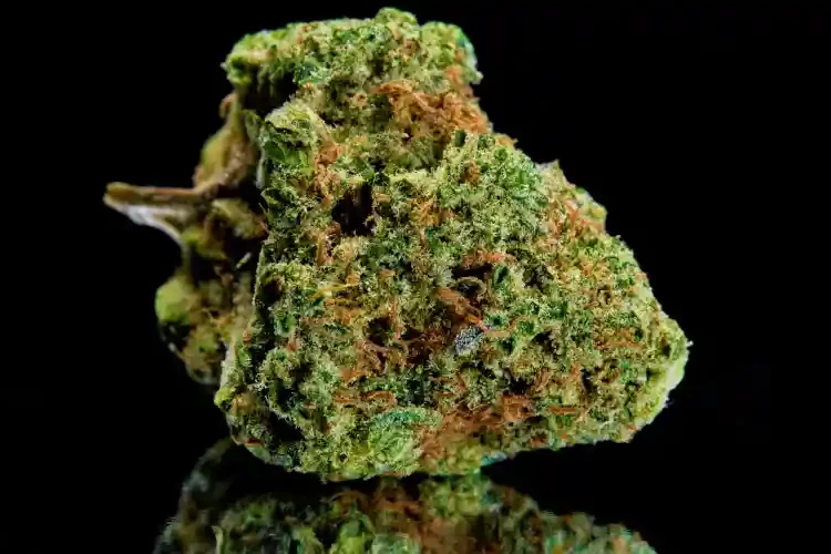 fleurs de cannabis séchée