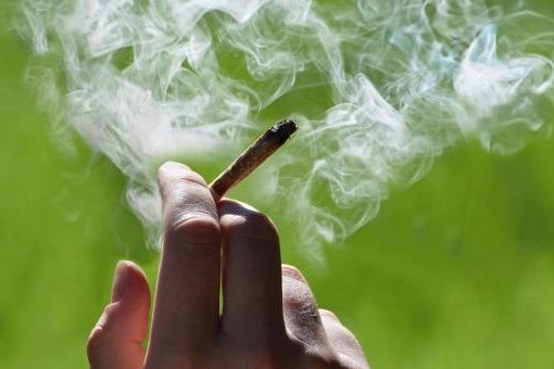 malte-club de cannabis