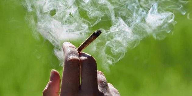 malte-club de cannabis