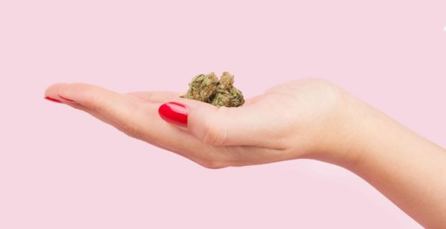 ménopause et cannabis