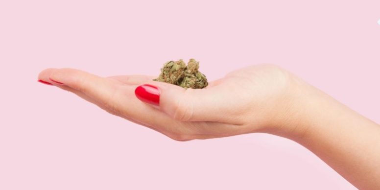 ménopause et cannabis