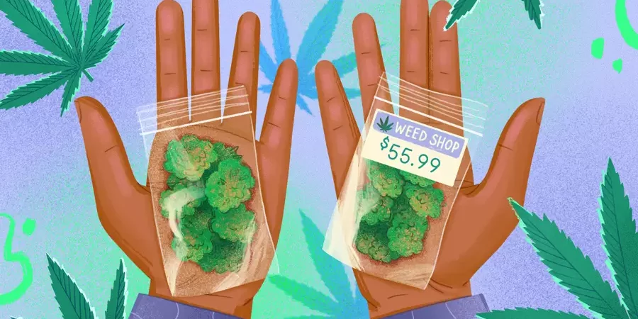 comparatif entre marché légal et illicite du cannabis