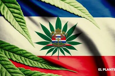 Costa Rica-légalisation-cannabis