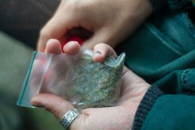 Drogues-La prohibition met nos démocraties en danger