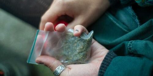 Drogues-La prohibition met nos démocraties en danger