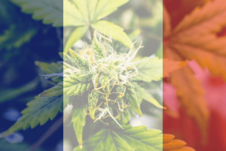 France-légalisation du cannabis