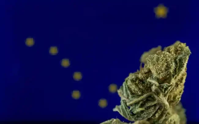 L'Alaska annule des centaines de condamnations liées au cannabis
