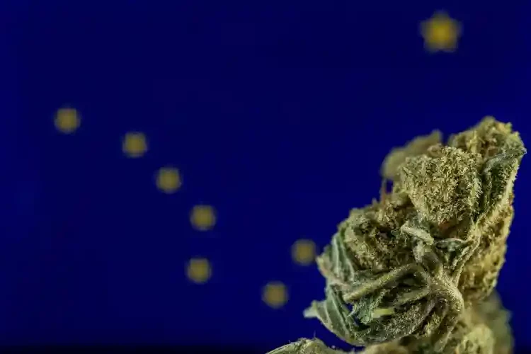L'Alaska annule des centaines de condamnations liées au cannabis