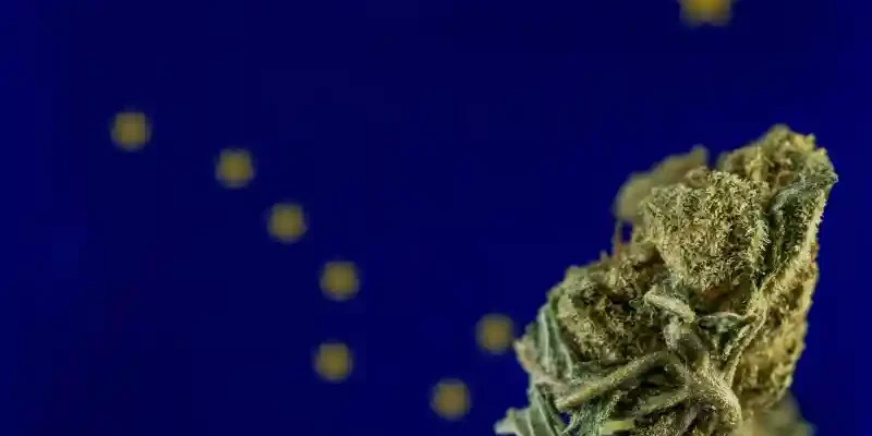 L'Alaska annule des centaines de condamnations liées au cannabis