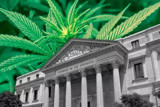 La légalisation du cannabis en Espagne est soumise au Congrès