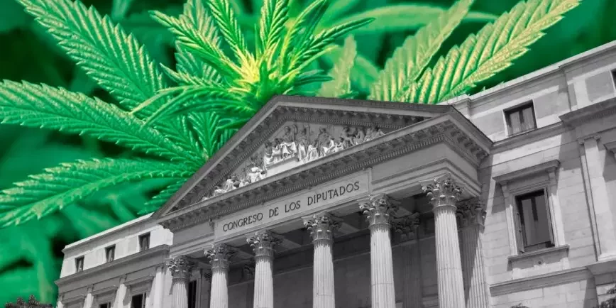 La légalisation du cannabis en Espagne est soumise au Congrès