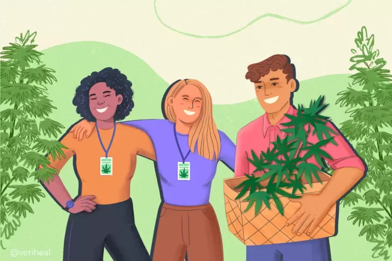 La légalisation du cannabis contribue à créer des emplois dans d'autres domaines que les dispensaires