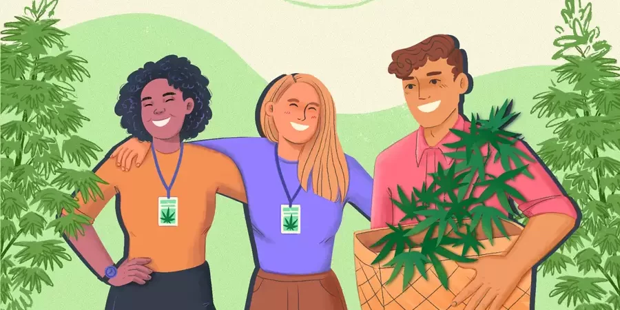 La légalisation du cannabis contribue à créer des emplois dans d'autres domaines que les dispensaires