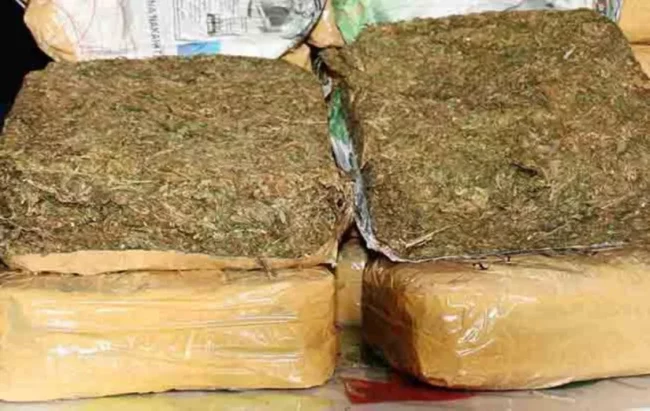 Philippines-Le gouvernement soutient le projet de loi sur le cannabis médical