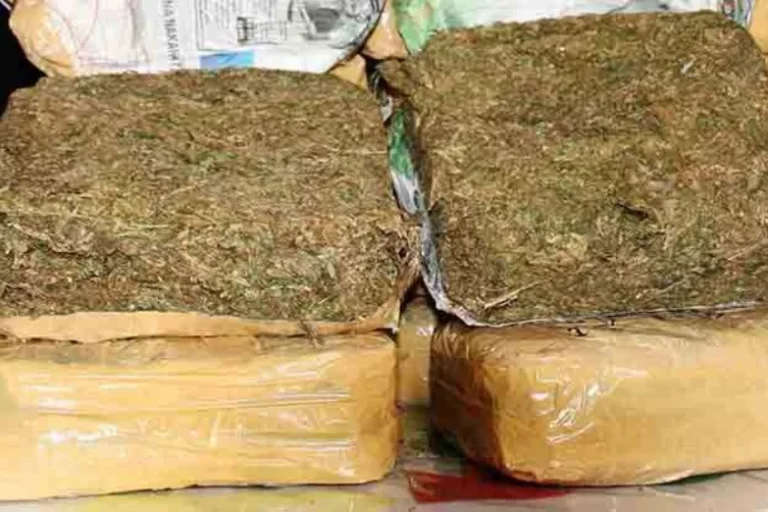 Philippines-Le gouvernement soutient le projet de loi sur le cannabis médical