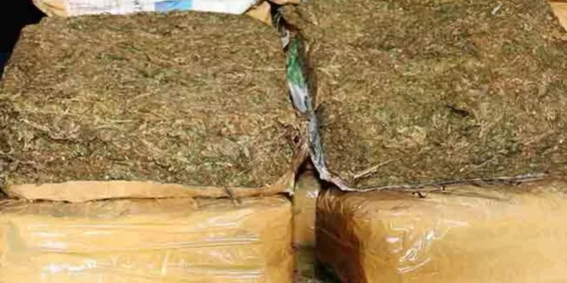 Philippines-Le gouvernement soutient le projet de loi sur le cannabis médical