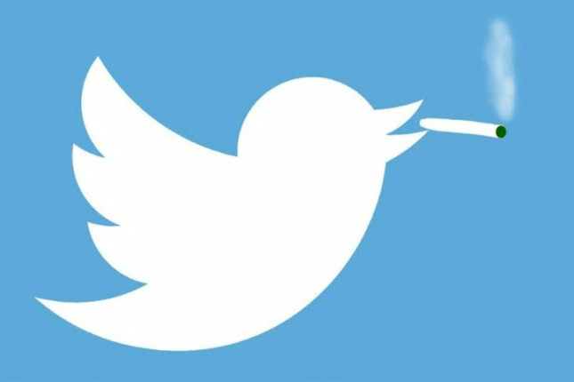 Twitter autorise la publicité pour le cannabis aux USA