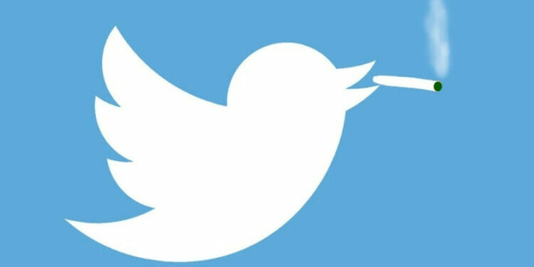 Twitter autorise la publicité pour le cannabis aux USA