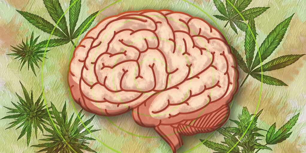 Yale-se-penche-sur-la-science-du-cannabis