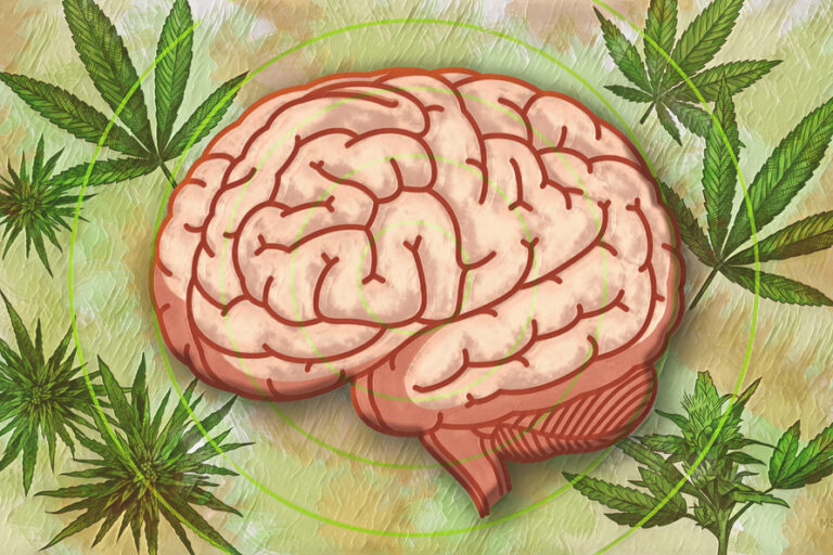 Yale-se-penche-sur-la-science-du-cannabis