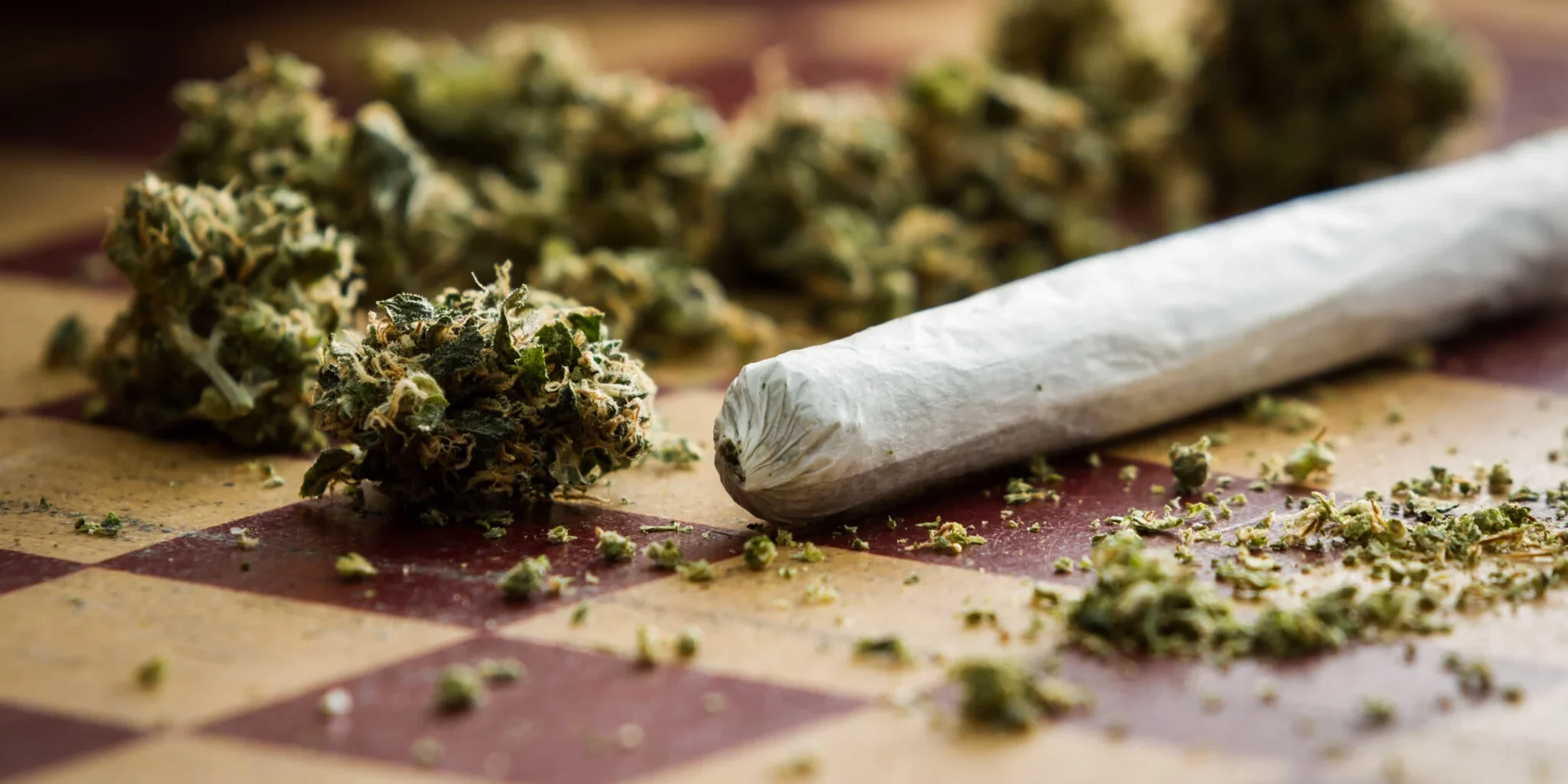 prohibition du cannabis