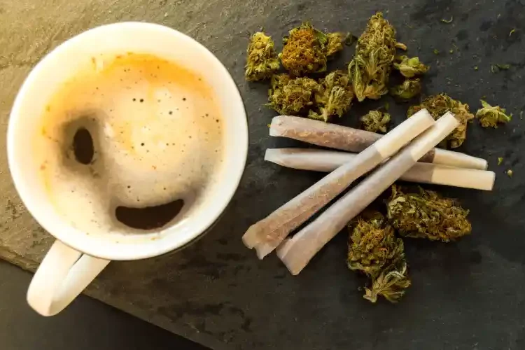 bientôt des coffee-shops en californie