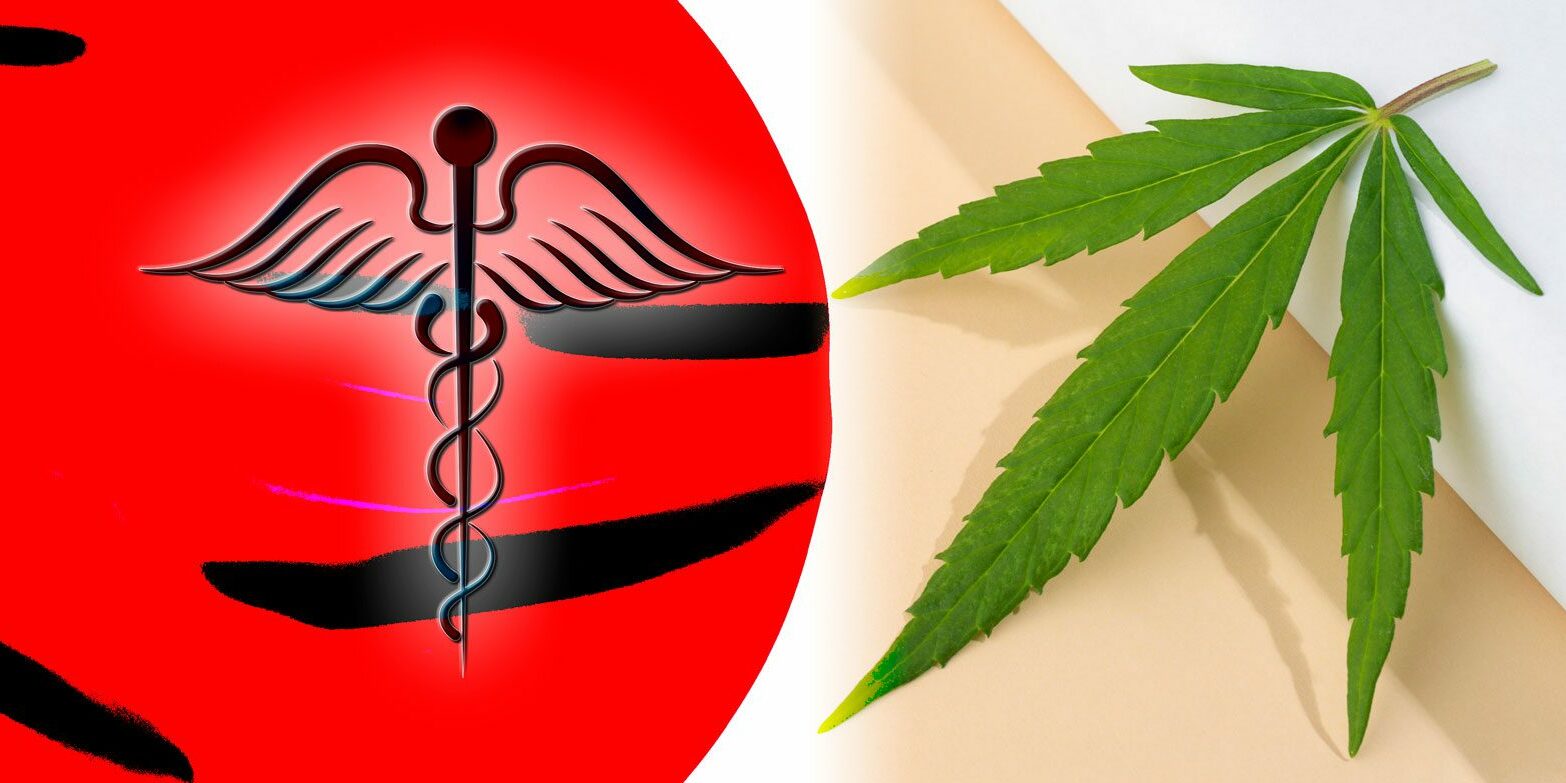 cannabis médical au Japon