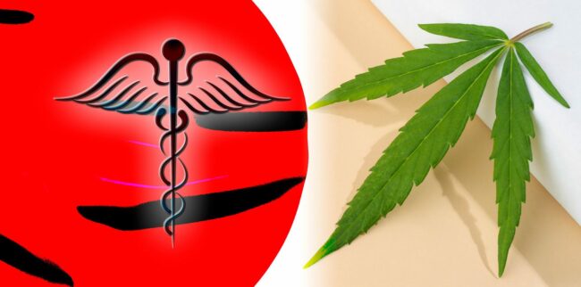 cannabis médical au Japon