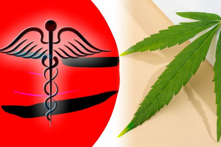 cannabis médical au Japon