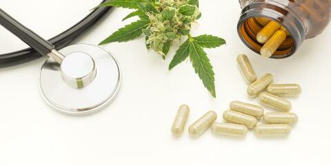 cannabis pour le douleur chronique et la réduction des opioïdes