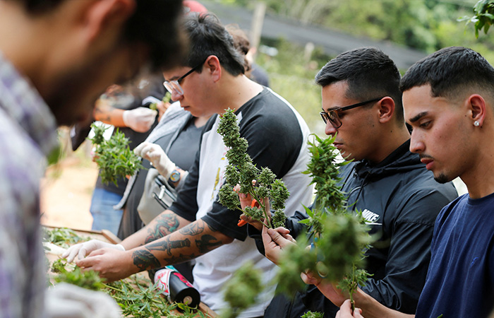 festival du cannabis au Paraguay