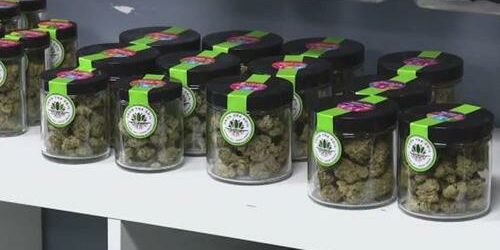 washington veut taxer la teneur en THC