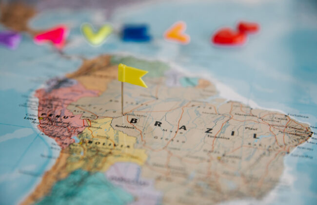 Brésil-culture du cannabis