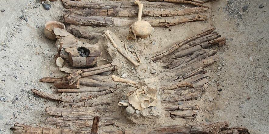 utilisation précoce du cannabis