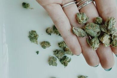 La fibromyalgie l'avait mise à genoux - la ballerine renaît grâce au cannabis