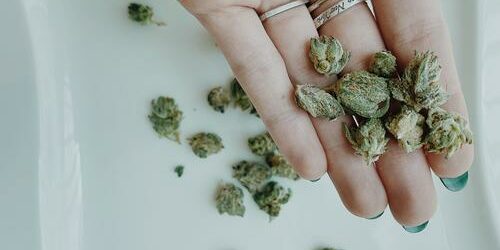 La fibromyalgie l'avait mise à genoux - la ballerine renaît grâce au cannabis