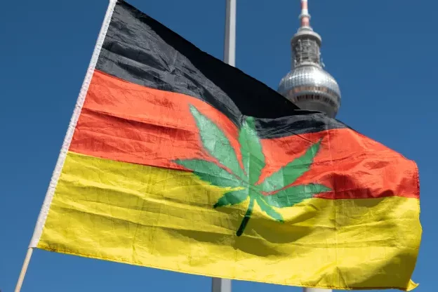 Légalisation du cannabis en Allemagne