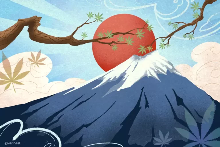 Le Japon - cannabis médical